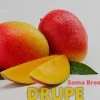 Sama Breeze